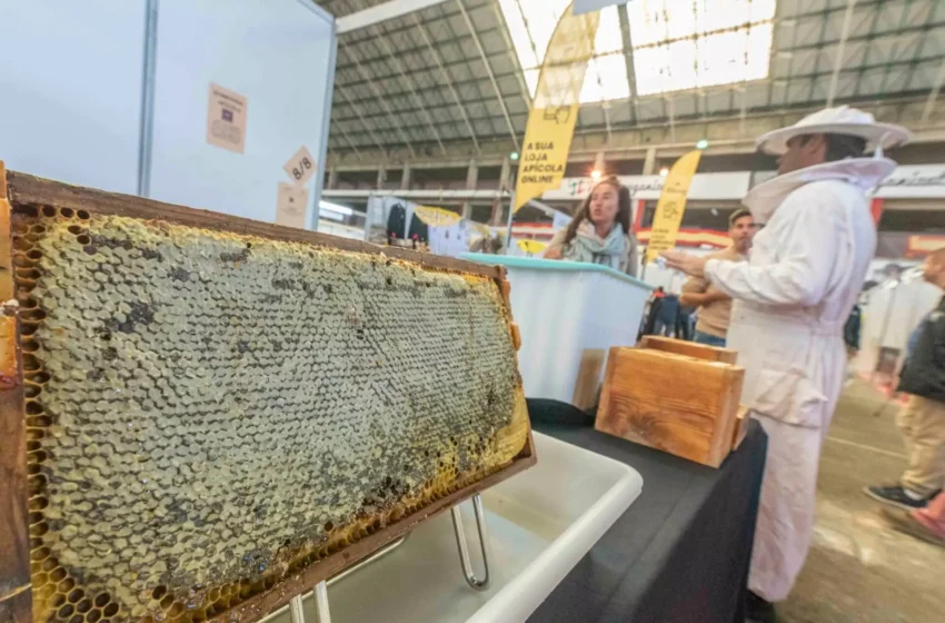 Noticias de Cantabria | El Cántabro | Éxito de la XV Feria Nacional Apícola celebrada este fin de semana en Torrelavega