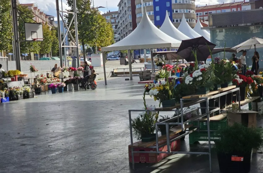 Noticias de Cantabria | El Cántabro | El Mercado de las Flores regresará a la Plaza de La Llama del 29 de octubre al 1 de noviembre con motivo del Día de Todos los Santos