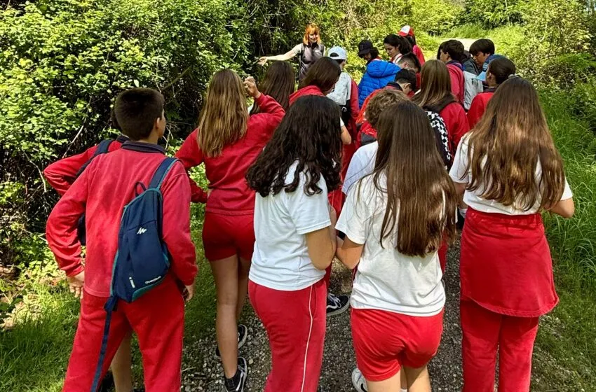  Cultura impulsa a través de la Fundación Camino Lebaniego 44 actividades de educación ambiental y moviliza este año a 840 jóvenes con su proyecto Steps for LIFE