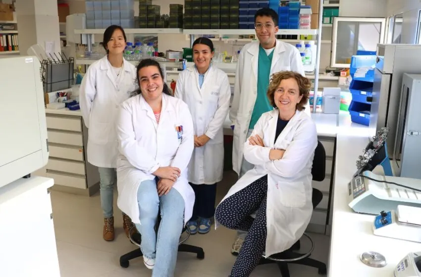 Noticias de Cantabria | El Cántabro | IDIVAL desarrolla en Cantabria una nueva terapia génica con nanopartículas para hacer más accesible el tratamiento del cáncer