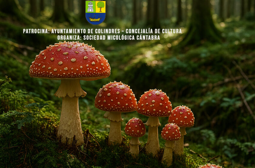  Colindres celebra este fin de semana la XXXIII edición de las Jornadas Micológicas.