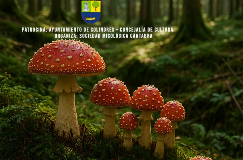  Colindres celebra este fin de semana la XXXIII edición de sus Jornadas Micológicas