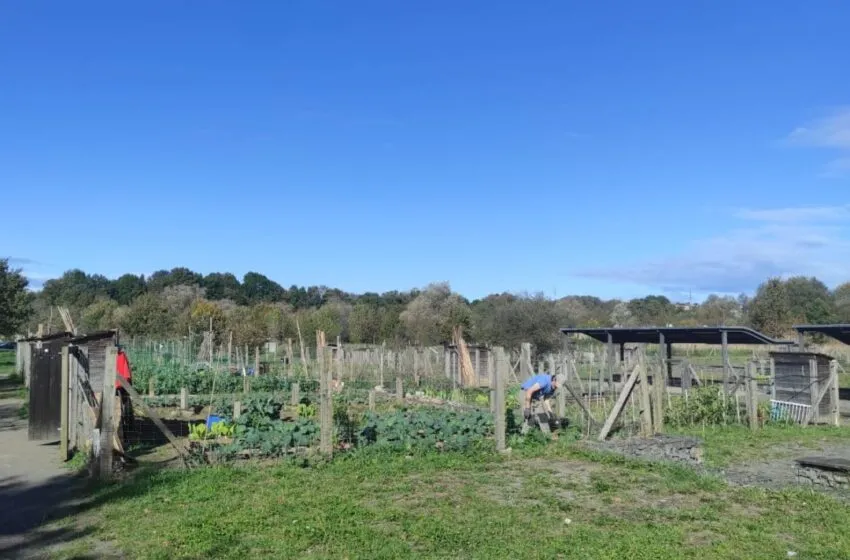  COLINDRES IMPARTE UN CURSO DE INICIACIÓN A LA AGRICULTURA ECOLÓGICA