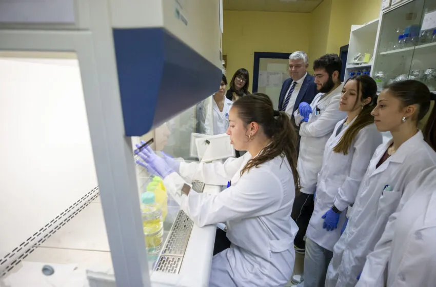 Noticias de Cantabria | El Cántabro | Agüeros destaca la inversión del Fondo Social Europeo Plus en la formación de los jóvenes cántabros mediante cursos de especialización profesional en ámbitos estratégicos