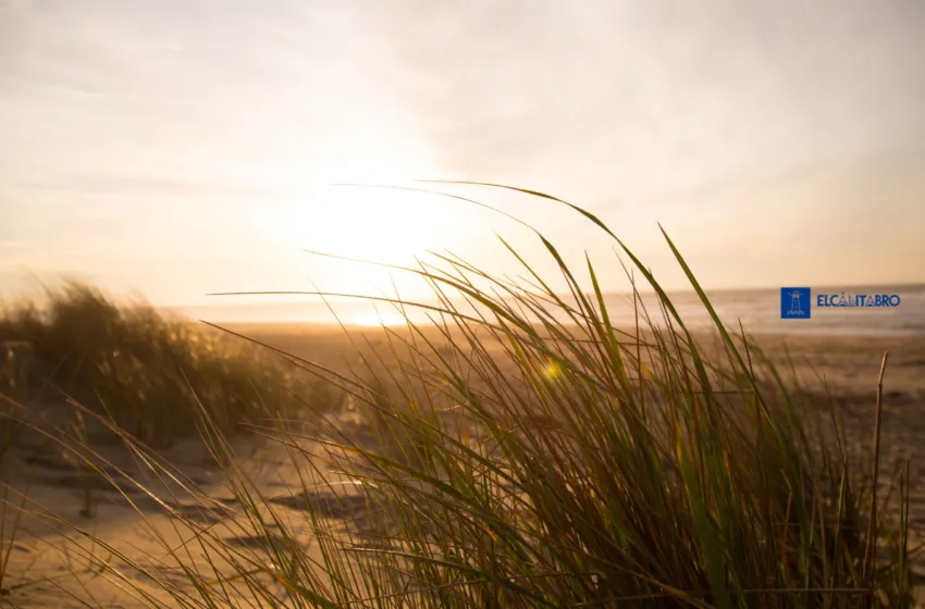  El 112 recibe 49 llamadas y gestiona 11 incidencias provocadas por el fuerte viento