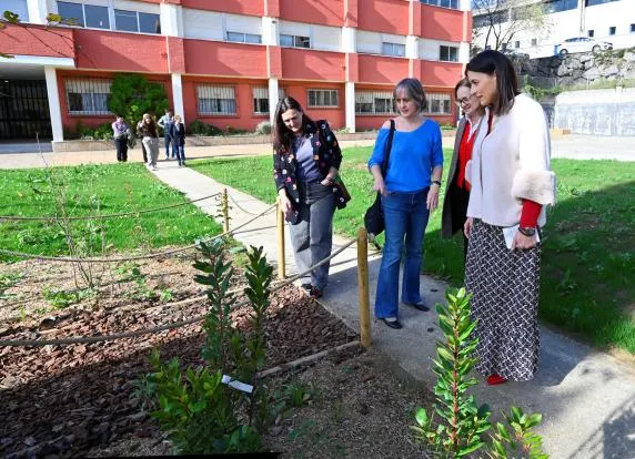 Cerca de 3.800 escolares se beneficiarán de los nuevos proyectos de mejora de patios en Santander