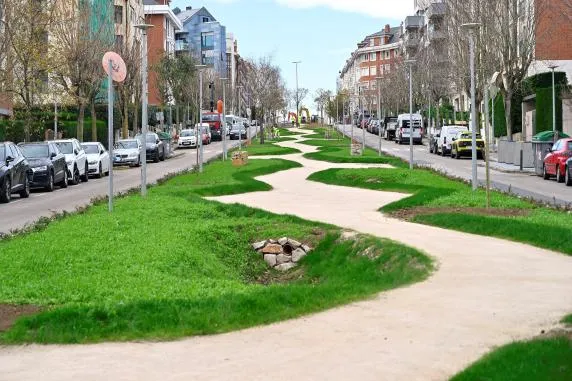 Noticias de Cantabria | El Cántabro | De baldosa a bosque urbano: la avenida Diego Madrazo encara su recta final de renaturalización en Cueto
