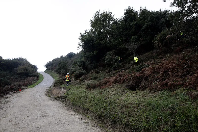  El Gobierno convoca ayudas por 2 millones de euros para mejorar los pastizales de aprovechamiento común en 2026