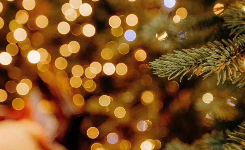 Noticias de Cantabria | El Cántabro | LOS CONCURSOS NAVIDEÑOS LLENAN ASTILLERO DE LUZ, ACTIVIDAD Y DINAMISMO