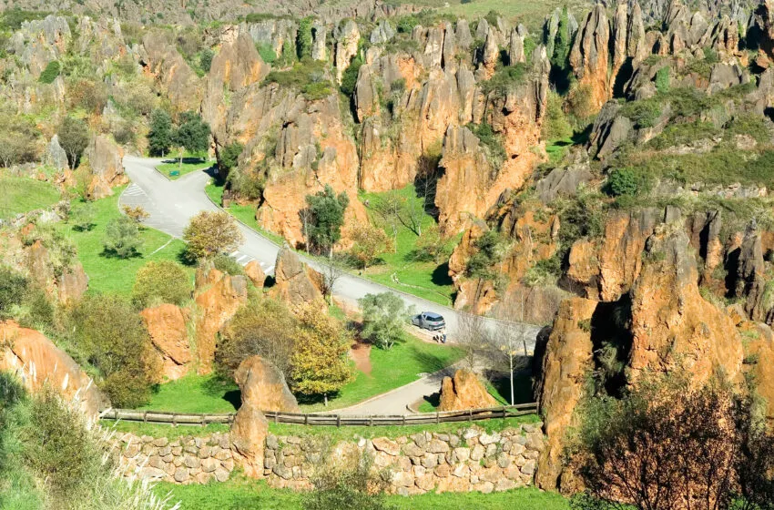 Noticias de Cantabria | El Cántabro | El Parque de Cabárceno donará parte de su recaudación a la Cocina Económica por segundo año consecutivo