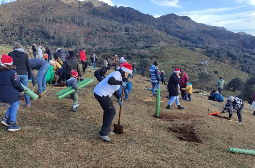  El Parque de Cabárceno acoge cuatro jornadas de reforestación impulsadas por Bosques de Cantabria