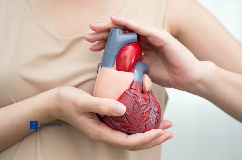  Cantabria defiende un Plan Europeo de Salud Cardiovascular, una «oportunidad única» para que la prevención sea el pilar de todas las políticas sanitarias