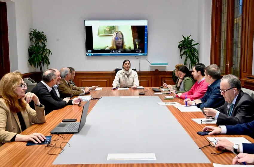 Noticias de Cantabria | El Cántabro | El IMD aprueba ayudas de casi 350.000 euros para el fomento del deporte en Santander