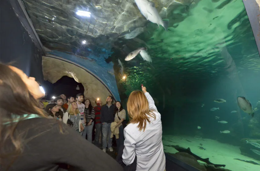 Noticias de Cantabria | El Cántabro | La Noche es Joven cierra su edición de otoño con visitas nocturnas a los museos de la ciudad