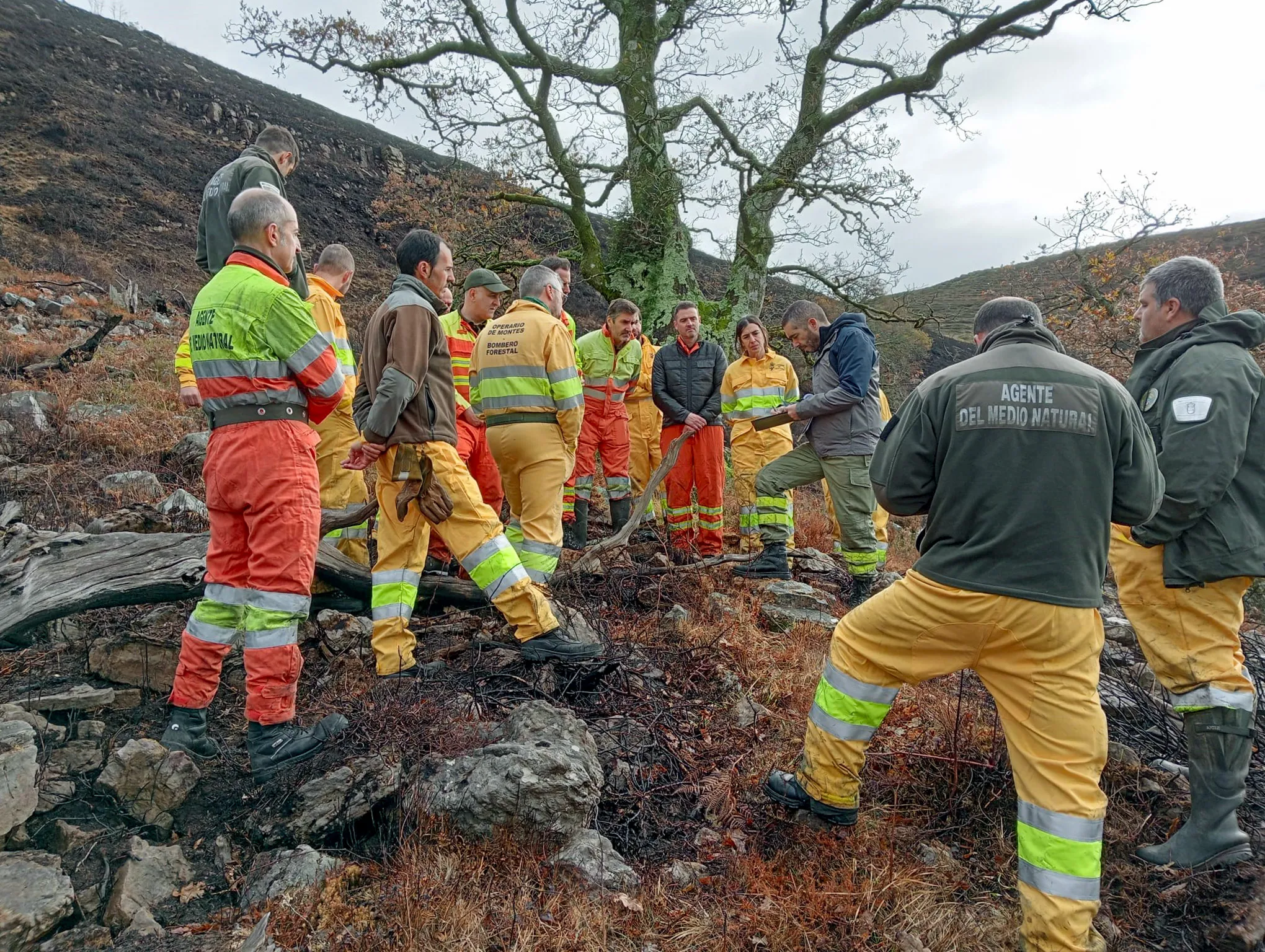 El Gobierno de Cantabria refuerza la capacitación de sus agentes para investigar el origen de los incendios forestales