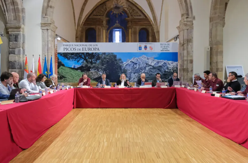  El Gobierno cántabro intensificará los controles poblacionales de jabalíes en el Parque Nacional de los Picos de Europa
