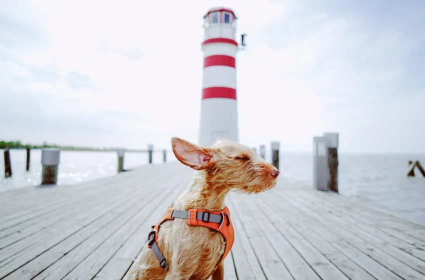  Cantabria estará la tarde del martes y el miércoles en aviso naranja por costeros