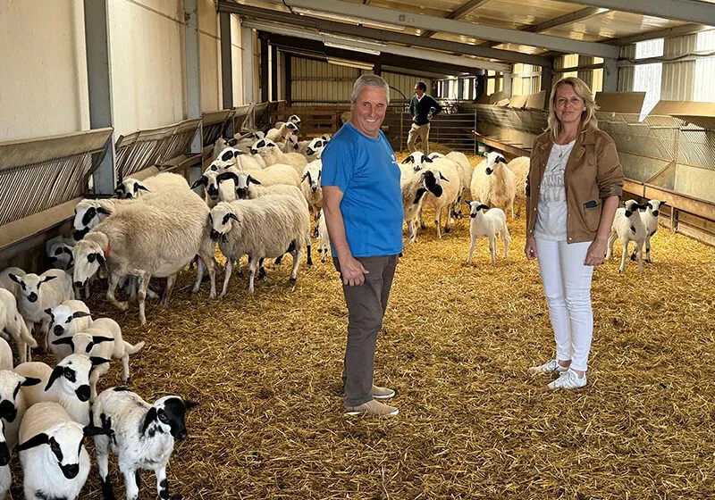  El Gobierno inicia el pago del saldo del 90 % de las ayudas directas por superficie del 2025 a 7.782 beneficiarios