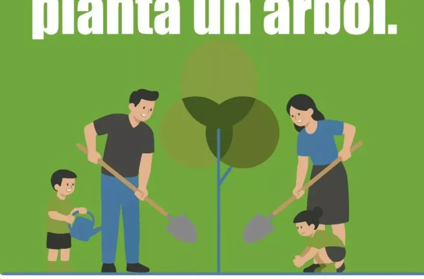  Torrelavega abre el plazo de la Campaña del Árbol 2026 para solicitar hasta dos ejemplares por persona