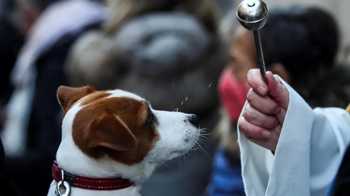 La iglesia de Santa Cruz de Bezana bendice a las mascotas en la tradicional celebración de San Antón