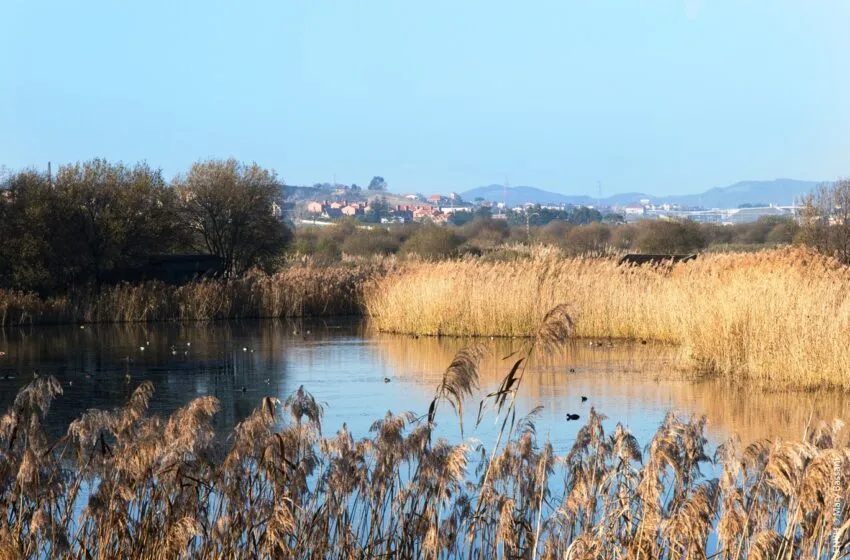  La Escuela de Medio Ambiente de Camargo organiza una jornada de educación y voluntariado en las Marismas de Alday