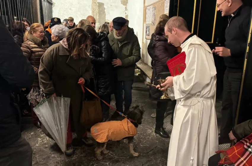  Una treintena de mascotas reciben la bendición en Bezana durante la festividad de San Antonio Abad