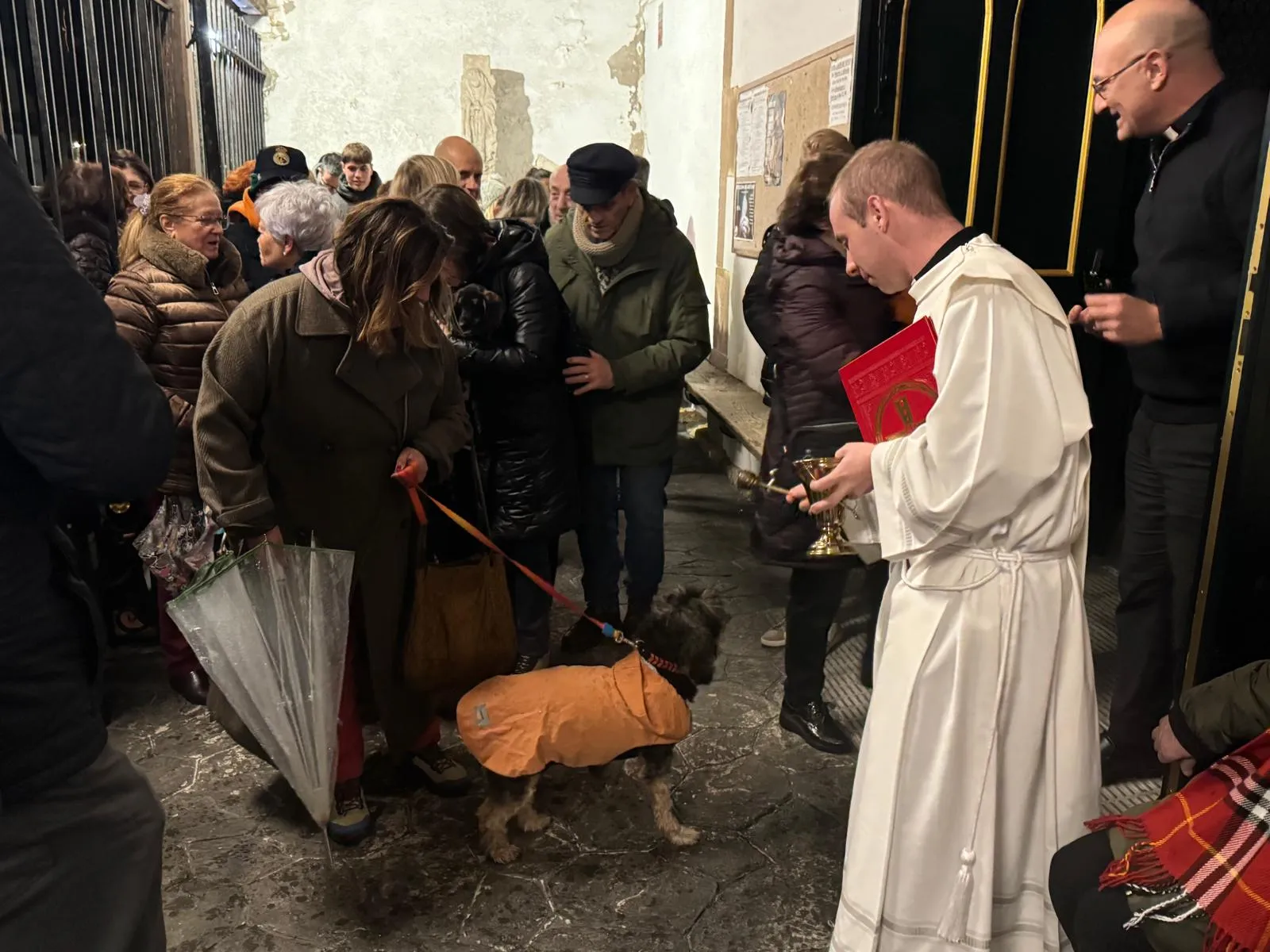 Una treintena de mascotas reciben la bendición en Bezana durante la festividad de San Antonio Abad