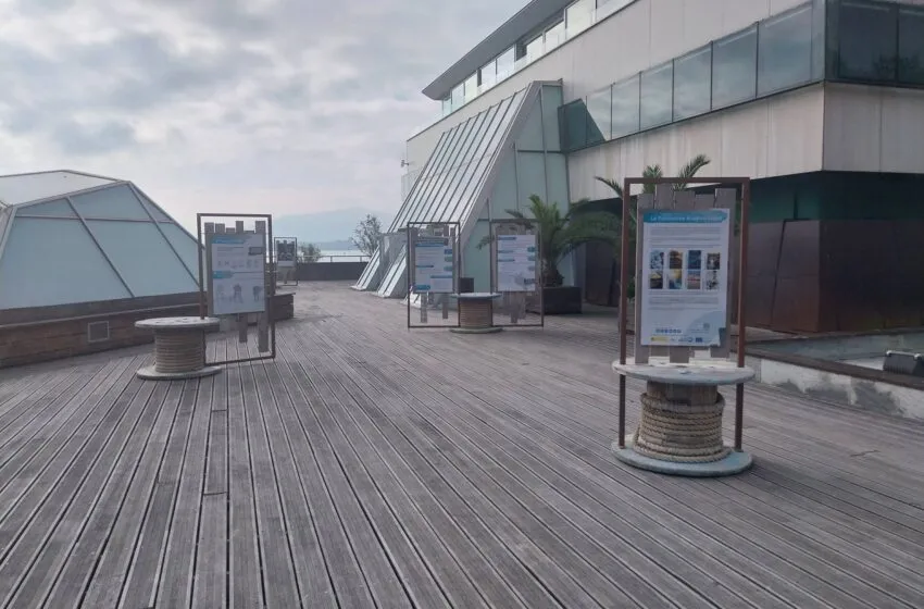 Noticias de Cantabria | El Cántabro | El Museo Marítimo acoge una exposición sobre Biodiversidad del Ministerio de Transición Ecológica y el Reto Demográfico