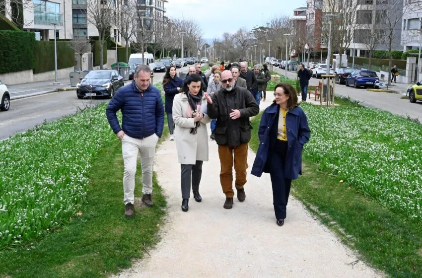  El Ayuntamiento finaliza la renaturalización de la avenida Doctor Diego Madrazo