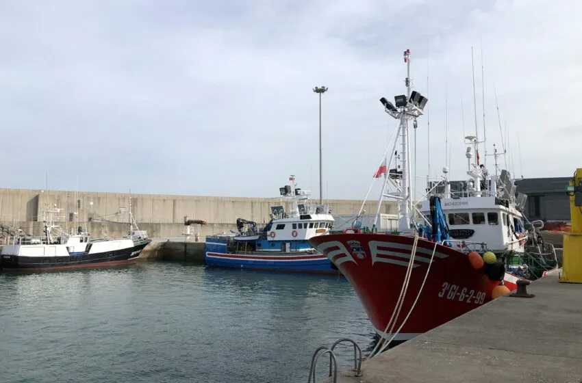  Desarrollo Rural abona 111.243 euros a los afectados del sector pesquero por la paralización temporal de la pesca del jurel