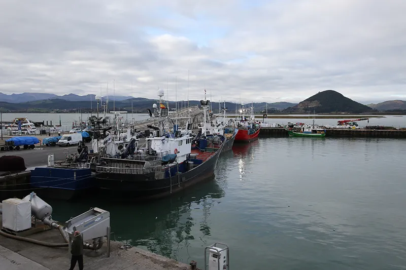  El Gobierno de Cantabria traslada al Ministerio el malestar de la flota pesquera por las nuevas exigencias del reglamento europeo de control de pesca
