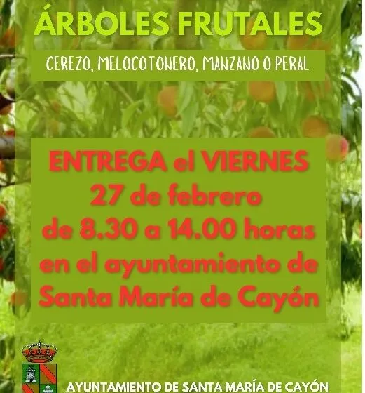  El 27 de febrero se inicia el reparto de los árboles solicitados en la Campaña “Quien planta Arboles planta Esperanza” del Ayuntamiento.