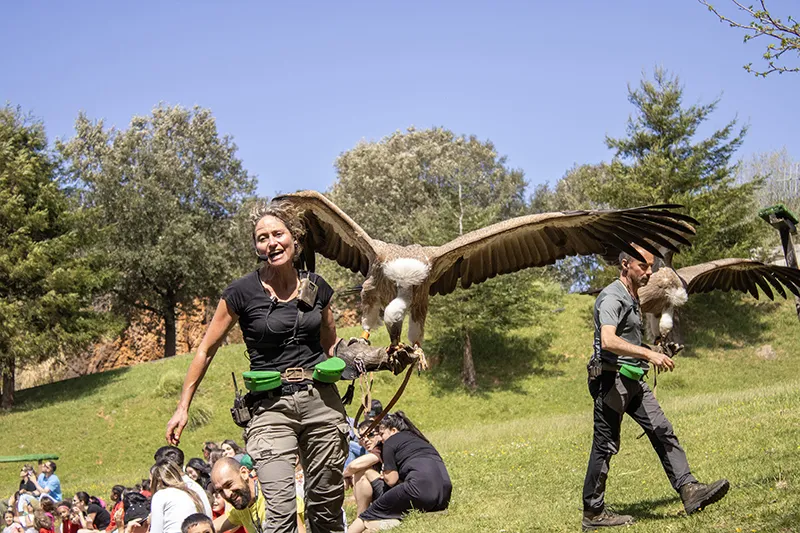 El Parque de Cabárceno celebra la ‘Semana sin cole’ de Carnaval con gratuidades y actividades educativas en familia
