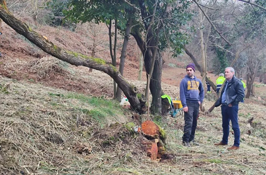  Suances Verde V reactiva la Ladera del Monte con un proyecto ejemplar de recuperación ambiental
