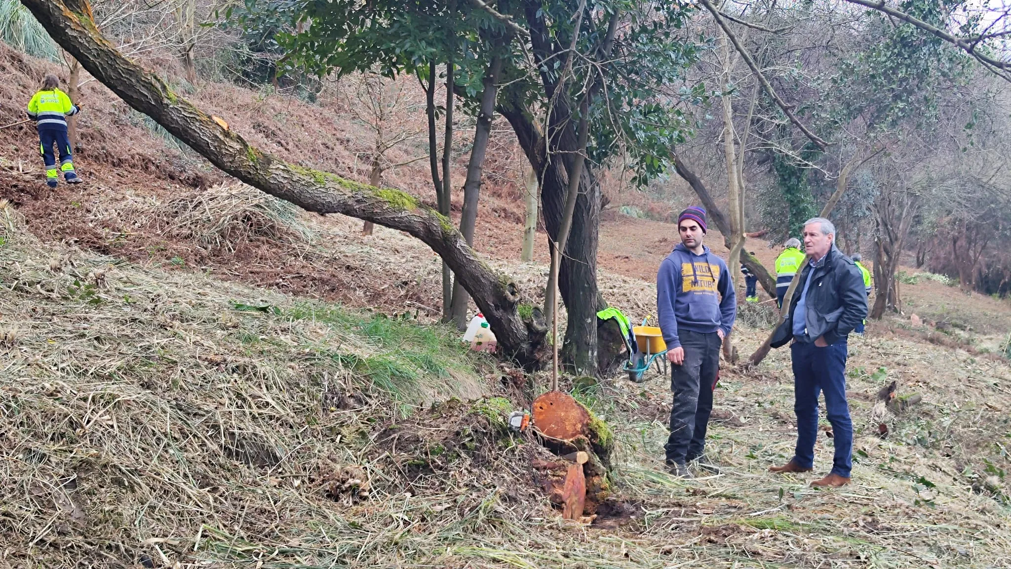 Suances Verde V reactiva la Ladera del Monte con un proyecto ejemplar de recuperación ambiental