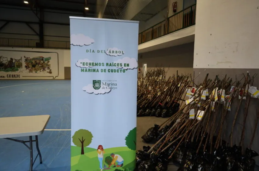  Día del Árbol 2026 en Marina de Cudeyo: balance y resultados