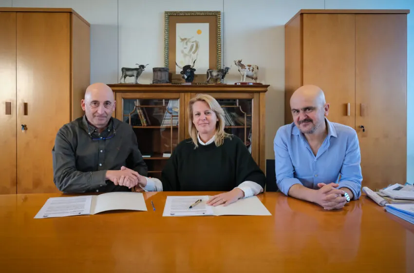 Noticias de Cantabria | El Cántabro | Cantabria rechaza la inclusión de la anguila en el Catálogo Nacional de Especies Amenazadas