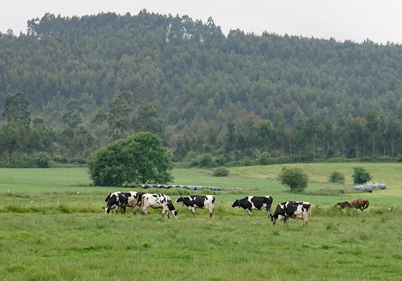  El Gobierno destaca el papel de Agroseguro como herramienta clave para la protección del sector primario