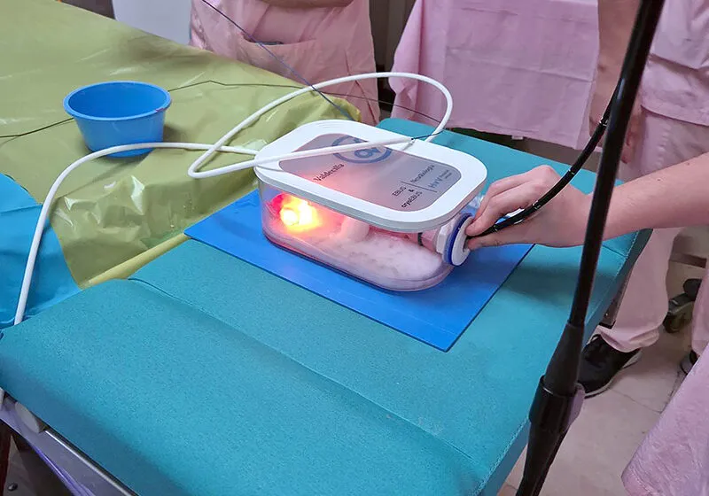  El Hospital Virtual Valdecilla diseña un simulador neumológico para mejorar los diagnósticos en cáncer de pulmón, sarcoidosis o linfomas