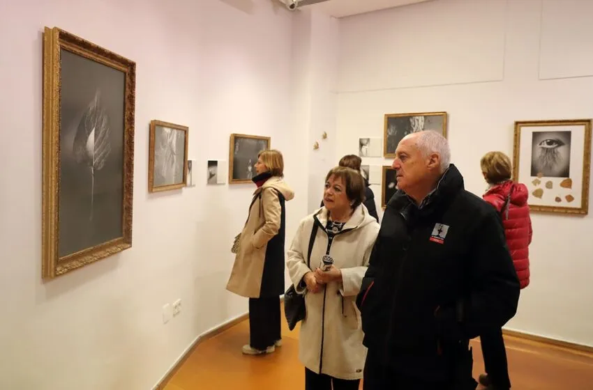  Visita guiada a la exposición “Femenino Plural” el 31 de marzo en la Sala Mauro Muriedas