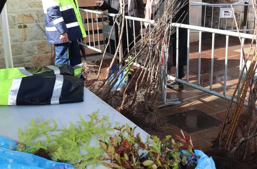  Entregados los Árboles Autóctonos y Frutales