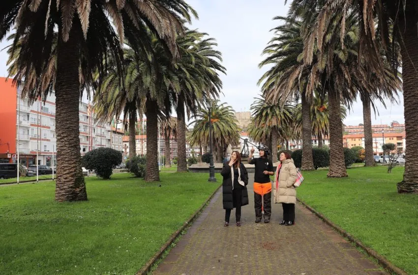  Avanza el informe sobre las palmeras de San Vicente de la Barquera para intentar salvar la mayoría de ejemplares