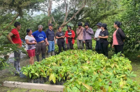 El Ayuntamiento y la Fundación Pacaso & Pacaso lanzan un programa de voluntariado en Ecuador