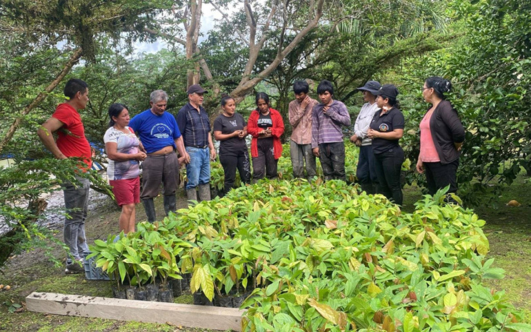  El Ayuntamiento y la Fundación Pacaso & Pacaso lanzan un programa de voluntariado en Ecuador