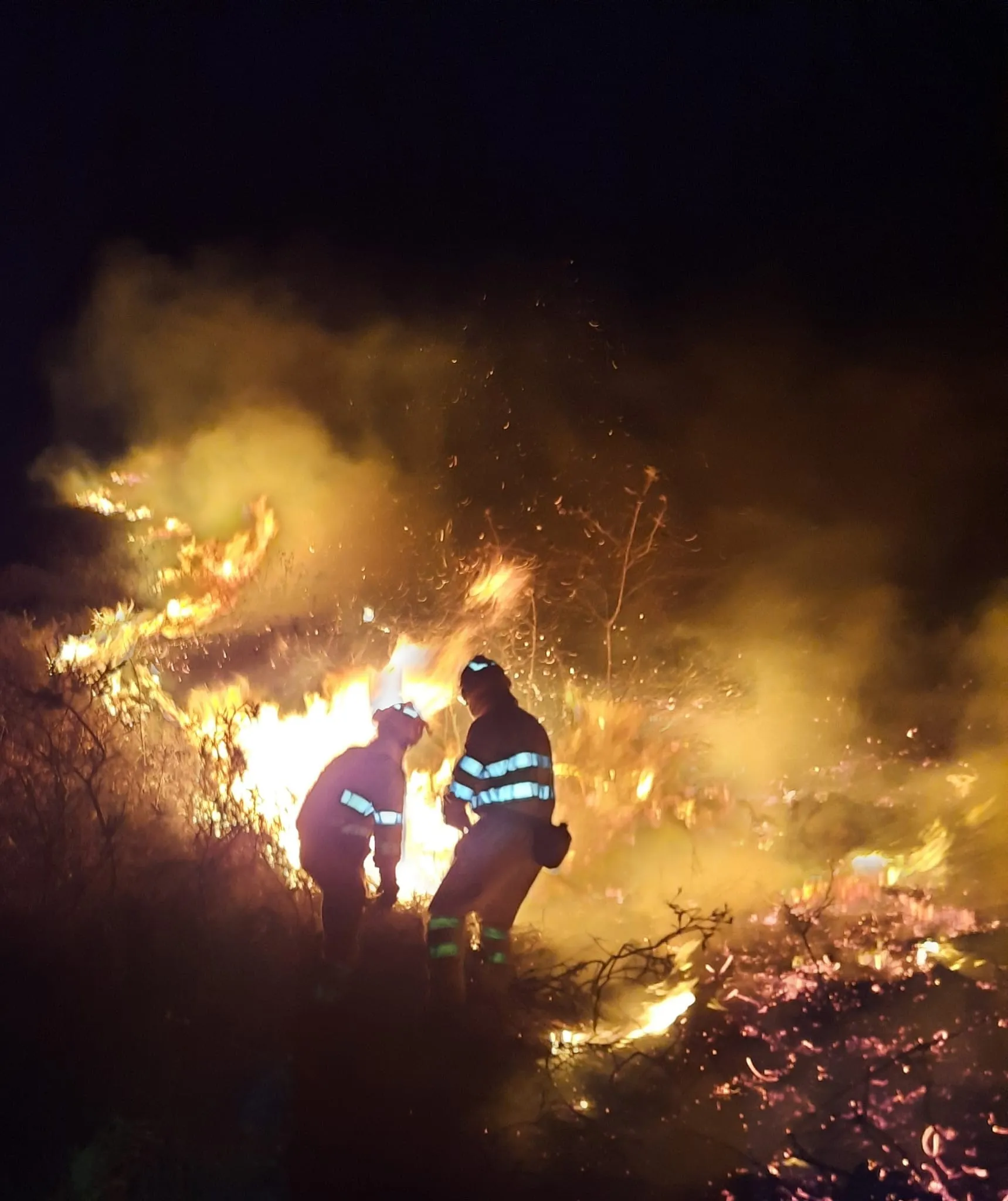 El Gobierno activará mañana el nivel 2 de alerta por riesgo de incendios forestales en toda Cantabria