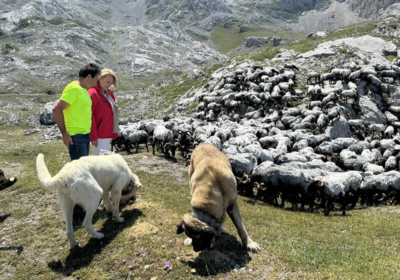  Desarrollo Rural abonará este viernes más de 3 millones de euros a 3.683 beneficiarios en el pago de Ecorregímenes y ayudas a la producción sostenible de proteínas