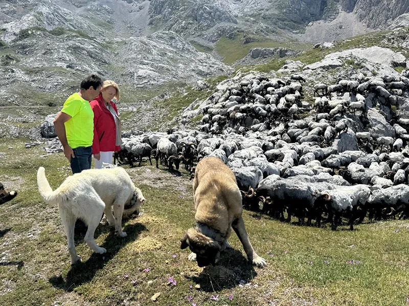 Desarrollo Rural abonará este viernes más de 3 millones de euros a 3.683 beneficiarios en el pago de Ecorregímenes y ayudas a la producción sostenible de proteínas