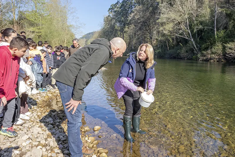  El Gobierno de Cantabria impulsa la repoblación de sus ríos con más de 23.000 huevas de trucha