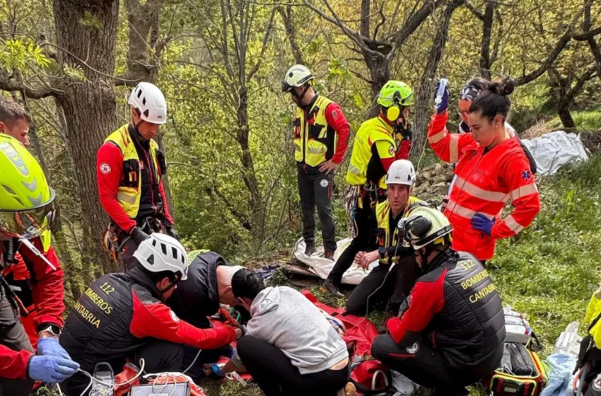 Noticias de Cantabria | El Cántabro | Grave accidente en Liébana: evacúan en helicóptero a un hombre herido mientras talaba un árbol en Ledantes