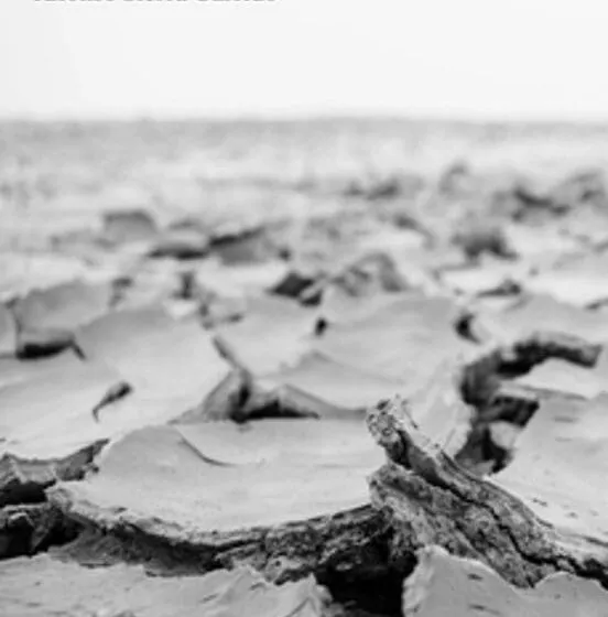 Noticias de Cantabria | El Cántabro | La Sala Mauro Muriedas acoge este viernes la presentación del libro “Otro día que no llueve”, de Alfonso Sierra Garrido